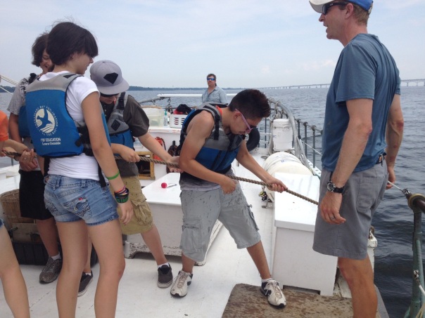 DSA Students in Washington, D.C., hauling in some oysters for study